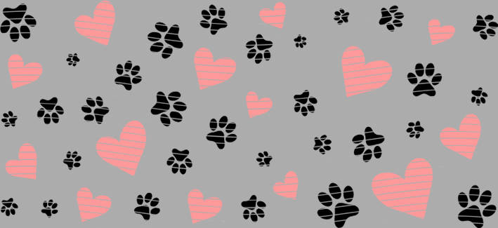 16oz Element-EN-2188